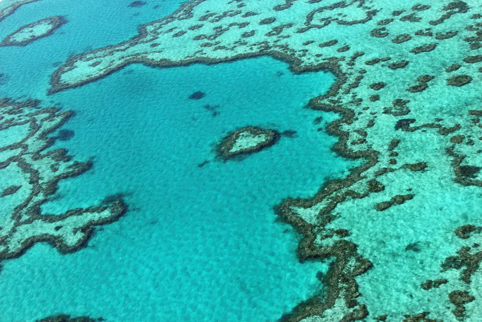 Verdens største korallrev ikke blir ført opp på FN-organisasjonen UNESCOs liste over truede verdensarvsteder. Foto: AFP PHOTO / Sarah LAI/ NTB Scanpix