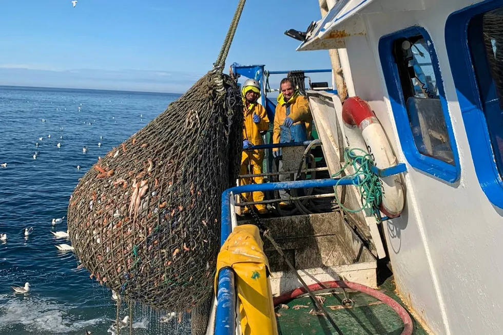 The fleet most adversely affected by the policy changes is the Nephrops – also known as scampi or langoustine -- fleet.