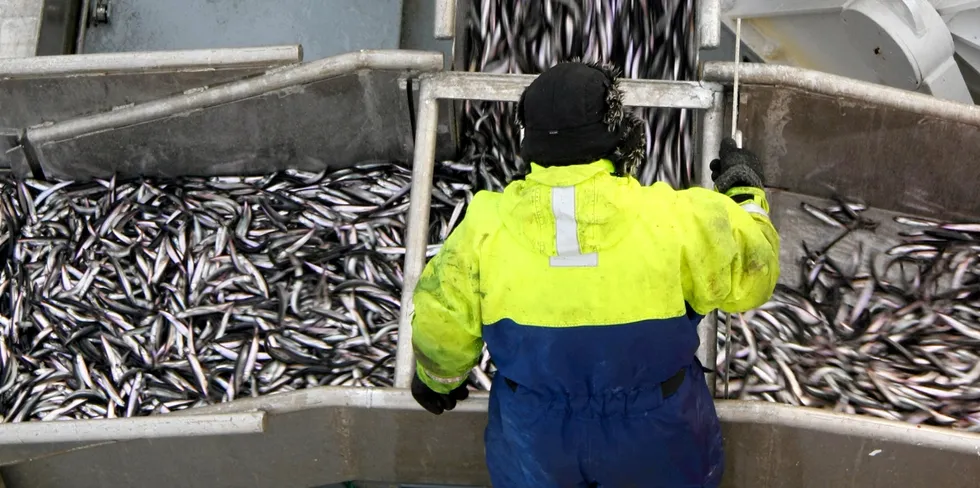 Det er mange i kystgruppen som kan tenke seg å dra på loddefiske i Barentshavet.