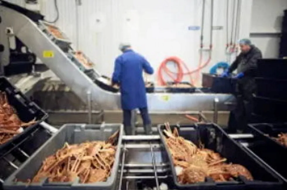 Quinlan Brothers are a major snow crab processor in Canada.