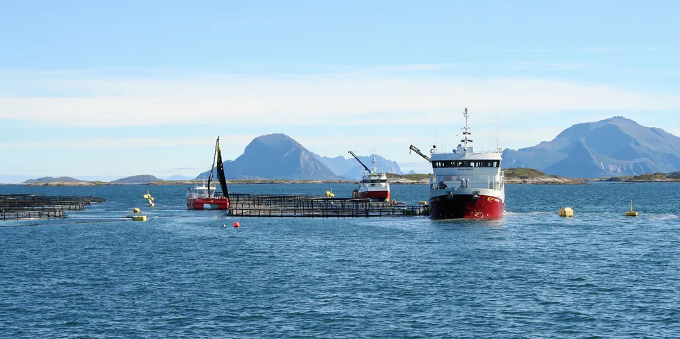 Nova Sea driver lakseproduksjon i flere kommuner i Nordland. Her fra Bolga i Meløy kommune.