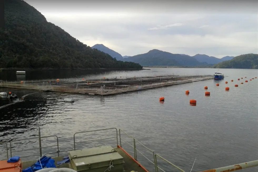 Chilean salmon farmer Multi X faces $8 million fine for alleged ...