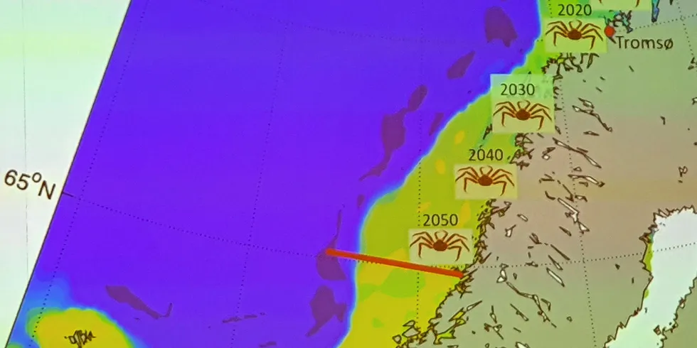 KRABBER MOT SØR: Forskerne på Havforskningsinstituttet tror de nå har funnet svaret på hvor langt sør kongekrabben kan etablere seg.