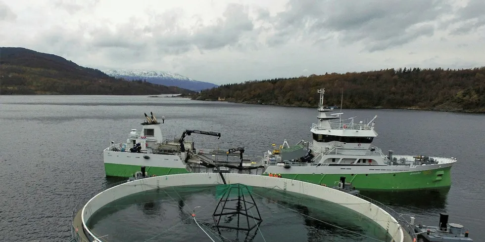 Aquafarm Equipment har no starta arbeidet med å utvikle postsmoltanlegget selskapet har bygd for Marine Harvest, til å kunne bruke det til matfiskproduksjon. For å teste ut den nye versjonen, er selskapet avhengig av utviklingstillatelsar.