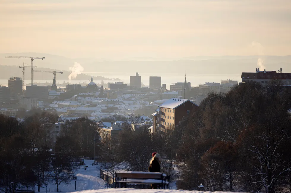 Spotpris til husholdninger og bedrifter betyr gir lave priser store deler av året og ekstreme pristopper i andre perioder, ifølge skribenten.