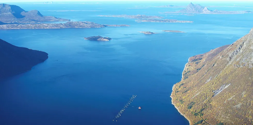 Daglig leder Alf Gøran Knutsen i Kvarøy Fiskeoppdrett er fornøyd med den nye NIVA-rapporten om miljøtilstanden på Helgeland. Han kjenner seg ikke igjen i fiskerkritikken. Her er selskapets lokalitet Olvika i Aldersundet med det karakteristiske fjellet Hestmona på Selsøya rett ut.