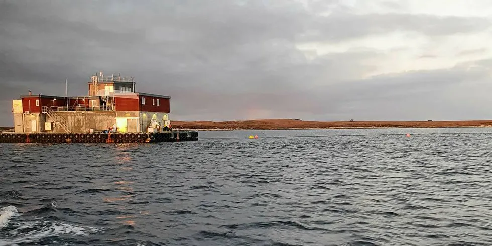 GRØNNERE: SinkabergHansen skal elektrifisere minst ett anlegg til høsten. Hanne Digre oppfordrer sjømatnæringen til å jobbe med å redusere klimautslippene.Foto: SinkabergHansen/NTE