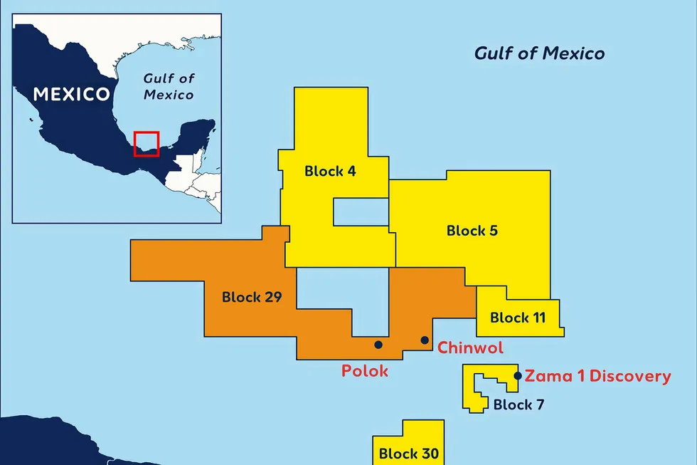 Discoveries: Block 29 off Mexico