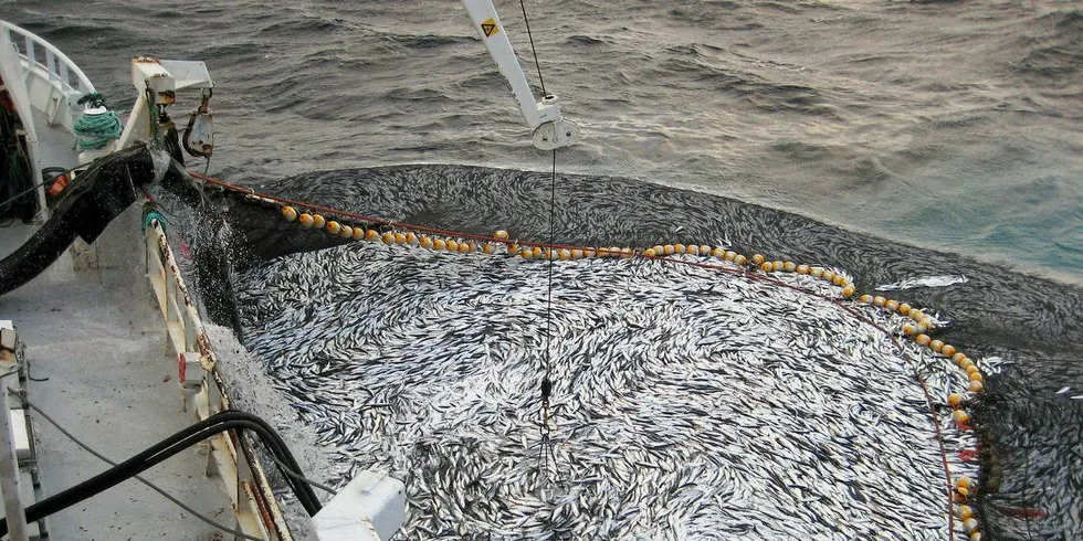 KVOTEFLEKS: Fiskeriministeren gir kystflåten 20 prosent kvotefleks på fartøynivå i NVG-sildefisket.Foto: Jack R. Gerhardsen