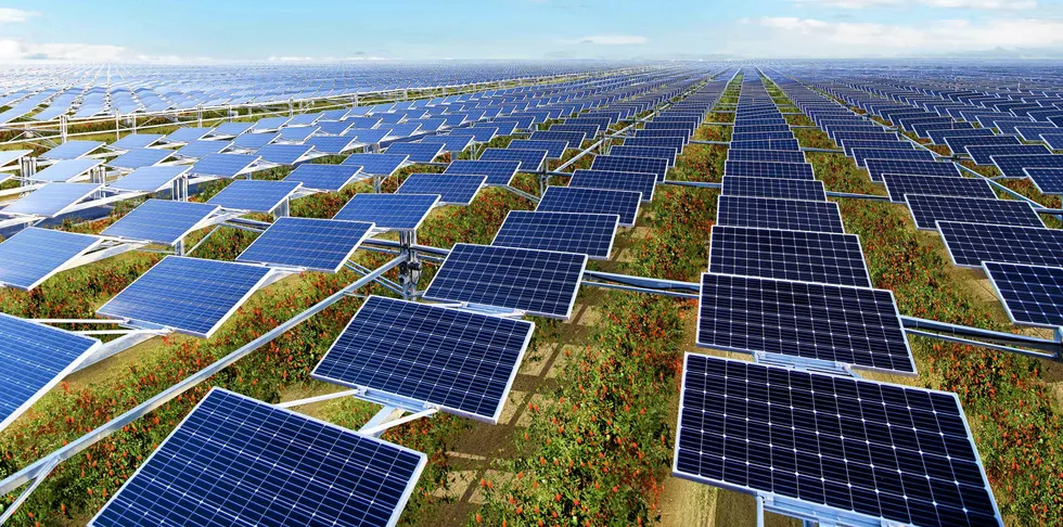 . Image supplied by Baofeng Energy of the 200MW solar array at the 150MW green hydrogen project.