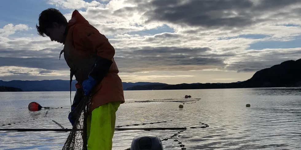 Sjølaksefiskere mener at forbudet mot sjølaksefisket må trekkes tilbake.