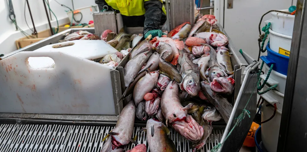 Et gjenstående tredjelandskvantum på torsk og hyse er nå blitt refordelt.