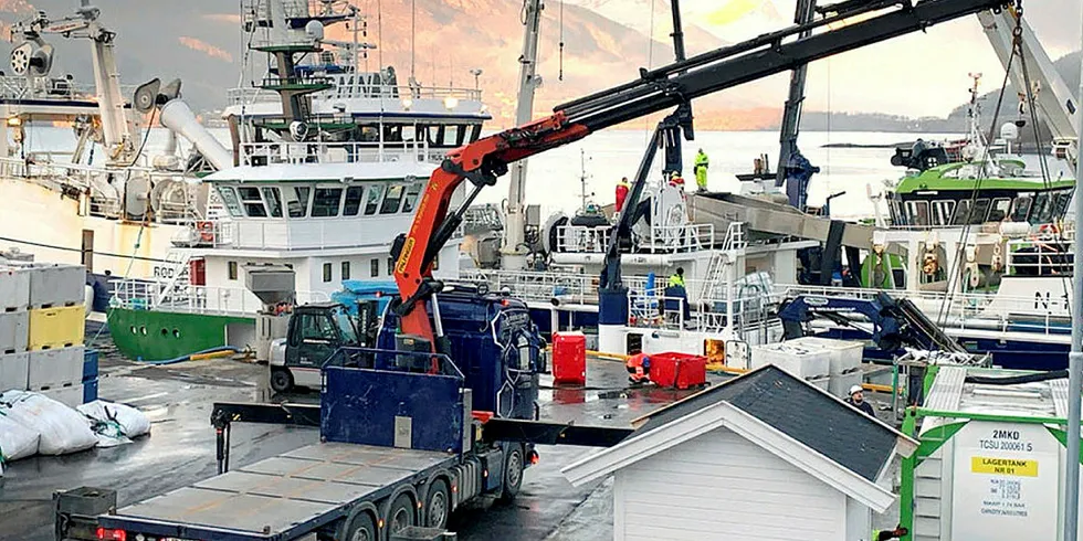 LAKSEDØD: Kasse på kasse med død laks heises opp på kaia på landbasen til Northern Lights Salmon i Balteskard i Sør-Troms, etter at dødelige alger har tatt livet av flere hundre tusen laks.