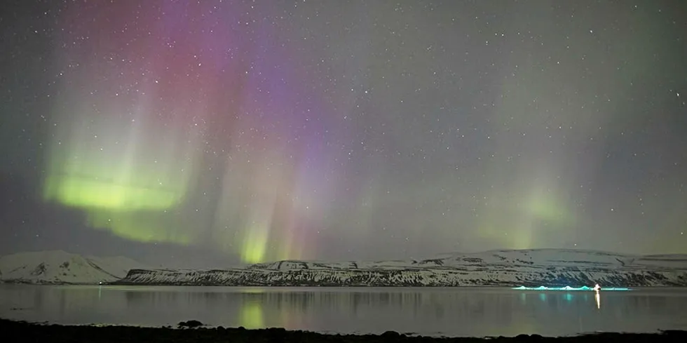 Bilde fra Arnarlax-anlegg på Island.