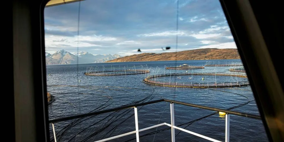 FORSKNINGSPROSJEKTER: Sintef Ocean er i gang med flere prosjekter for å analysere miljøfotavtrykk fra blant annet oppdrettslaks og mikroalgeproduksjon.Illustrasjonsfoto: Per Thrana