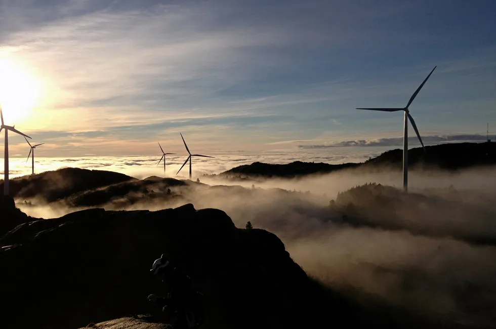 Bildet av Lista vindkraftverk som er eid av Fred. Olsen Renewables.