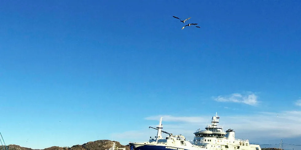 MENER DET SAMME: Regjeringen er gjennom regjeringserklæringen bundet til å mene det samme om slaktebåten «Norwegian Gannet» som fiskeriminister Harald T. Nesvik er.