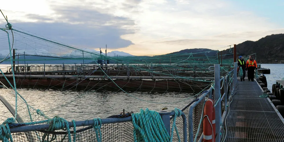 Eide Fjordbruk er blant dem som får forskningsstøtte.