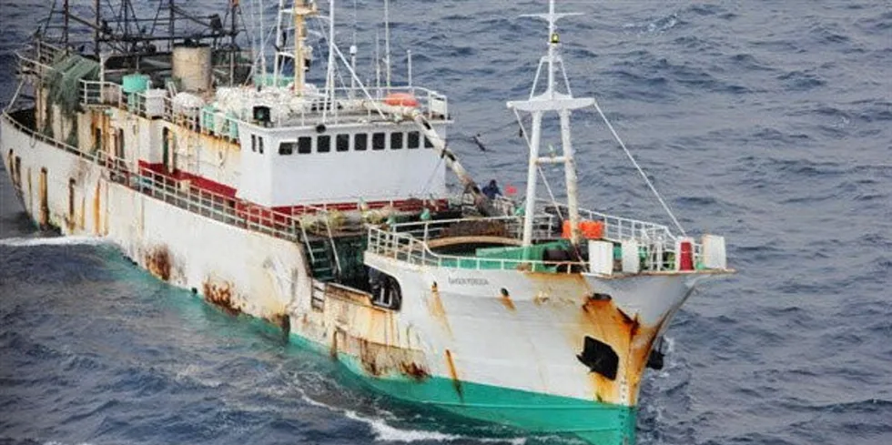 The Outlaw Ocean project report traces seafood from Chinese ships and processing plants to importers in Europe and the Untied States and the supermarket chains where these products were allegedly sold.