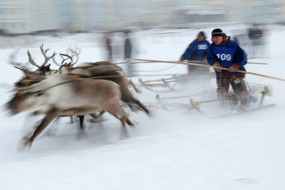 Tight race: Men compete at the Reindeer Herder's Day in Yamal-Nenets region. Oil and gas companies have been in a contest of their own