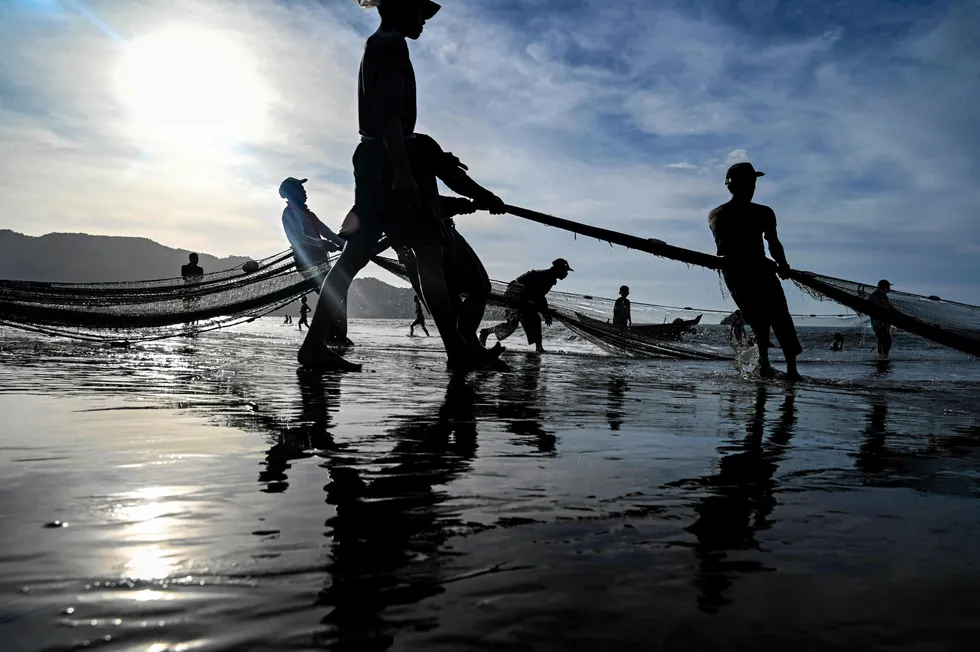 Abundant: fishermen pull their net at a beach in Pekan Bada in Indonesia's Aceh province.