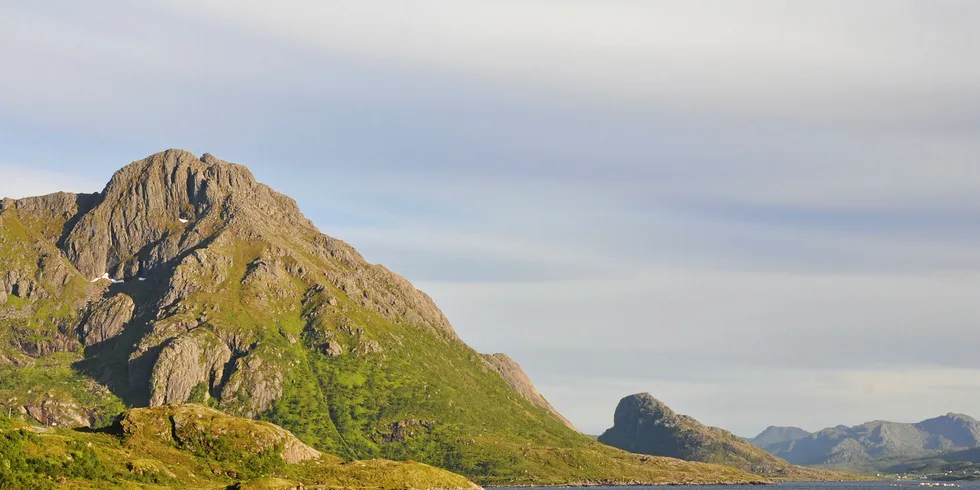 Norsk lakselandskap, med priskurver som følger fjellenes silhuetter.