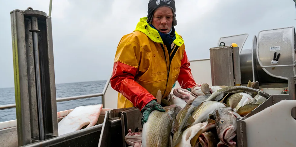 Linefiske med Jens-Einar Bjørkås Johnsen på torskefiske. Torskens betydning i det internasjonale politiske spillet vil bli viktigere fremover. Klimaendringene vil nemlig kunne bety endrede fisk og vandringsmønster.