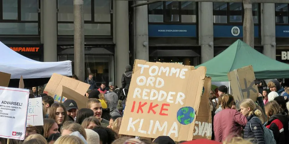 DEMONSTRERER FOR KLIMAET: I vår går tusenvis av unge mennesker ut i streik for klimaet. De forlater klasserom og auditorier. De vil se radikale handlinger, og de vil se det nå. Hvordan kan vi dra nytte av dette fantastiske engasjementet, er tema for dagens gjesteskribent.Foto: Kjersti Sandvik