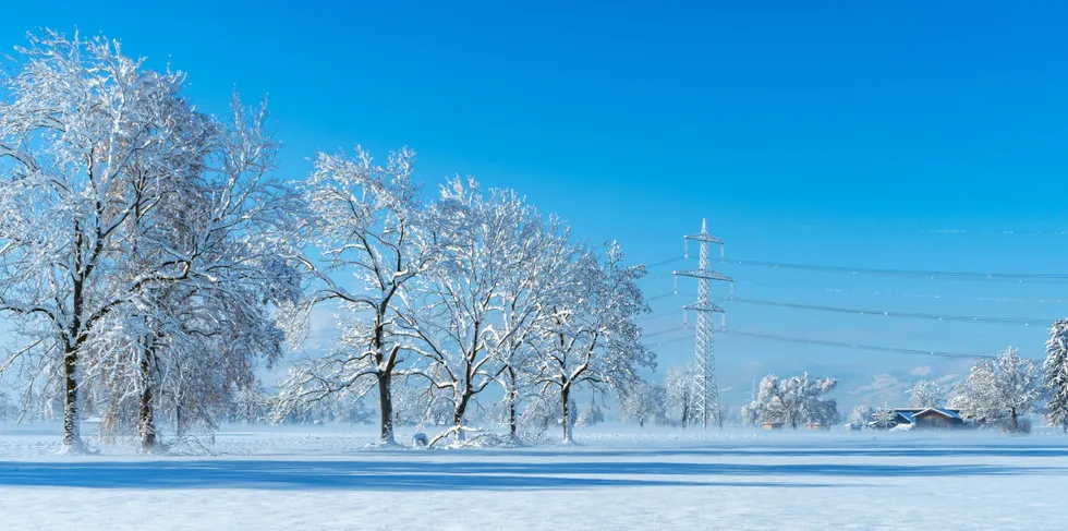 Hvor kaldt det blir i vinter, kan bli avgjørende for hvor høyt strømprisene kommer til å gå.