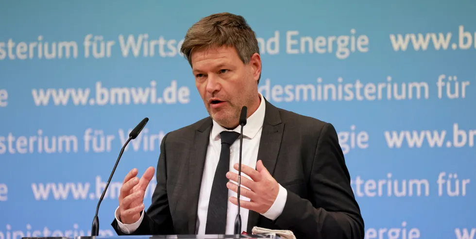 Germany's new economics and climate minister Robert Habeck (Greens)