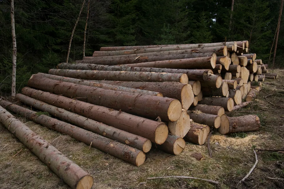 Klima trekkes frem som en årsak til utviklingen i tømmerprisene.