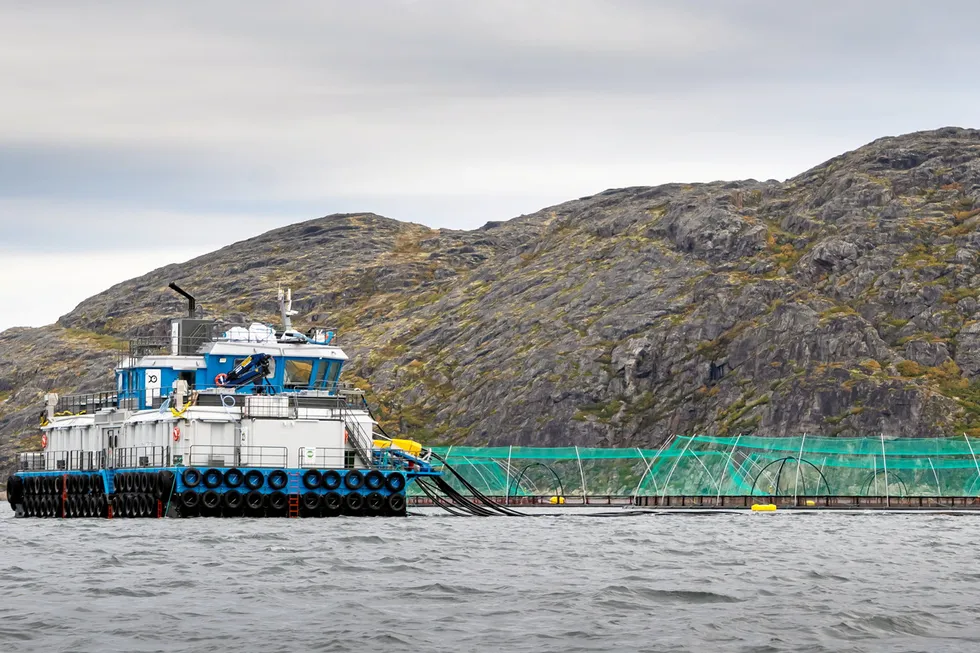 Farmed salmon and trout production jumped 28 percent to reach 70,100 metric tons, accounting for roughly 39 percent of the country's overall aquaculture production.