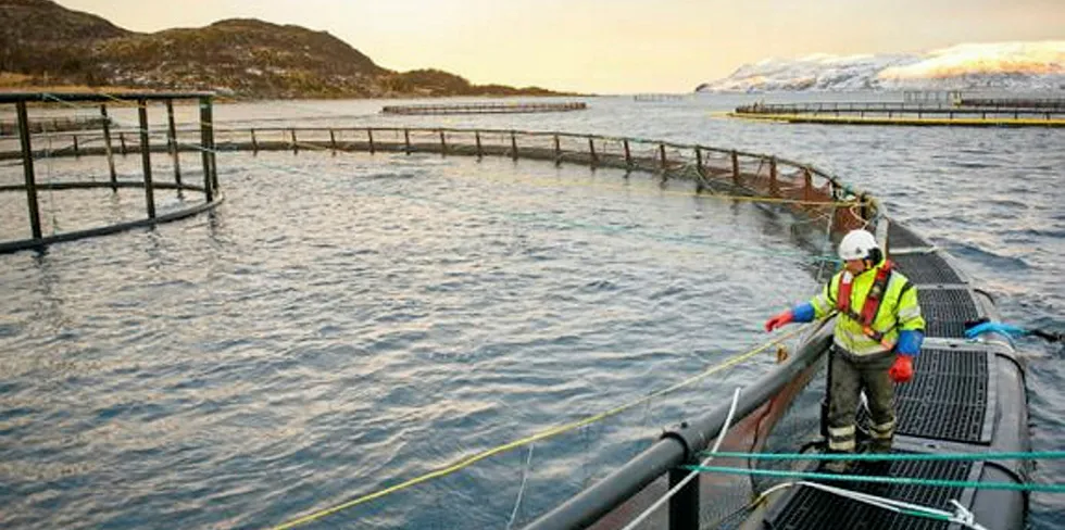 Hvis man skal behandle alle rettferdig, kan man ikke alltid behandle dem likt. Man må se på det enkelte selskaps tilstedeværelse og sårbarhet, mener Salmon Group.