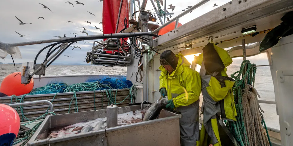 Sjømatnæringen utmerker seg som den næringen ved siden av landbruk med størst andel av sysselsetting utenfor sentrale strøk.