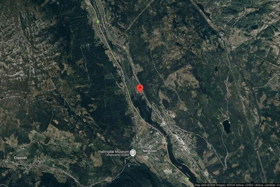 Området rundt Rudvegen 111, Nesbyen, Buskerud