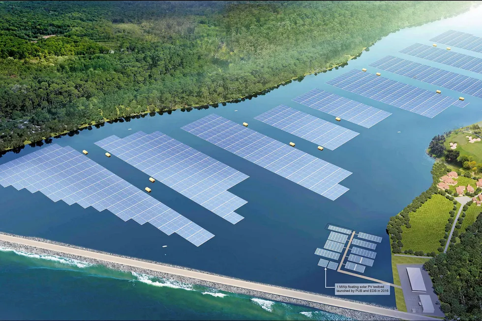 Water work: Artist's impression of the planned 60MWp floating solar system on Tengeh reservoir in Singapore.