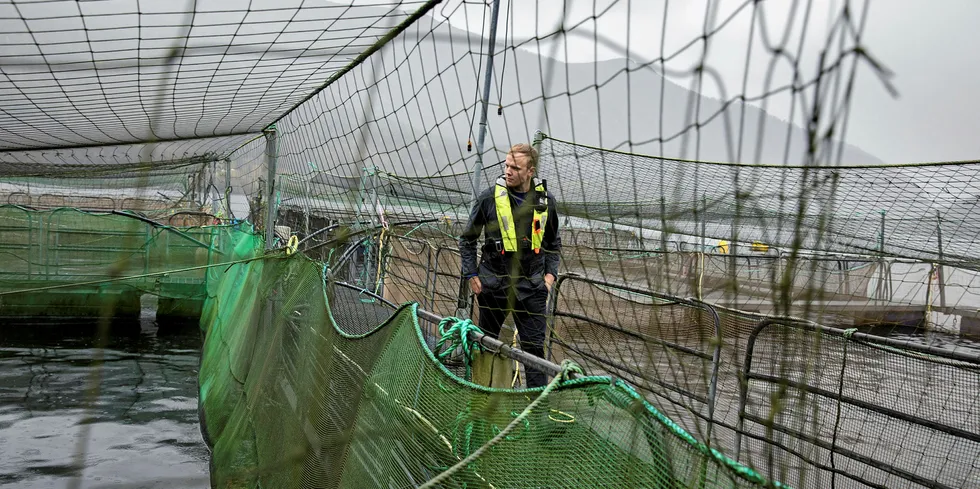 Frå ein sped start på 60-talet har Eide Fjordbruk i dag vekst seg til en milliardbedrift. Her er Sondre Eide på smoltanlegget i Skogseidvatnet.