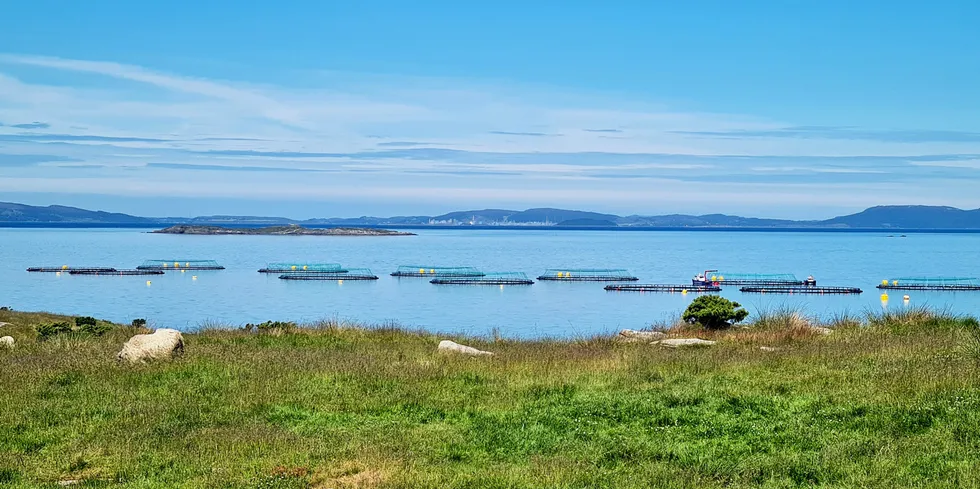 Lokaliteten Rennaren på Rennesøy nord for Stavanger drives av Grieg Seafood Rogaland