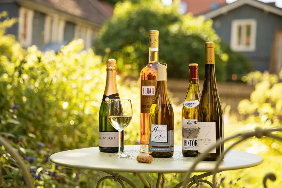 Strålende. Sommerslippet på Vinmonopolet leverer en rekke strålende viner man sjelden har sett i hyllene tidligere. Foto: Sigurd Fandango