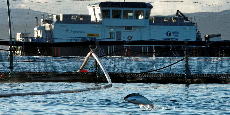 BEDRE Å KOMMUNISERE: En lakselokalitet til Salmar på Senja i Troms. Lakseoppdretterne i nord skal bli flinkere til å fortelle hva de driver med.