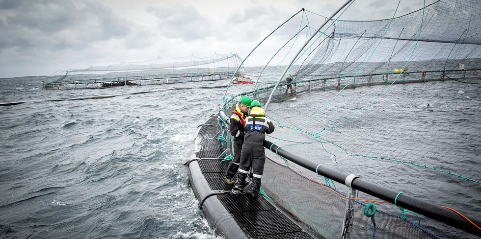 Vakkert, men (relativt) farlig: Arbeid på mærkanten. Illustrasjonsfoto: Ole Morten Melgård