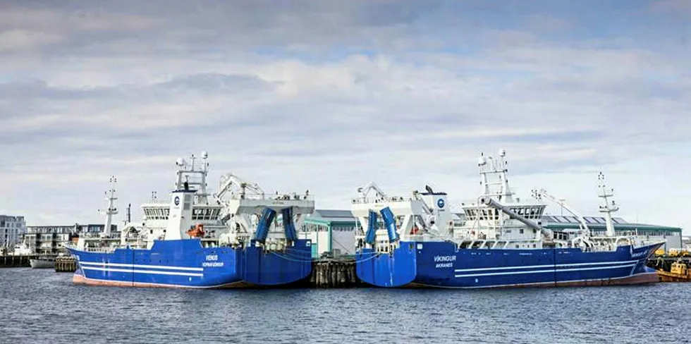 STORFANGST: «Venus» og «Vikingur» er to av de islandske trålerne som har fisket makrell for over 100 millioner norske kroner hver i år.