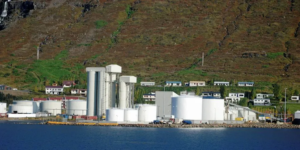 KNALLHELG: Det har vært ei fantastisk loddehelg ved Island. Mange norske båter har levert her ved sildoljefabrikken i Eskifjordur på Island.Arkivfoto: Einar Lindbæk