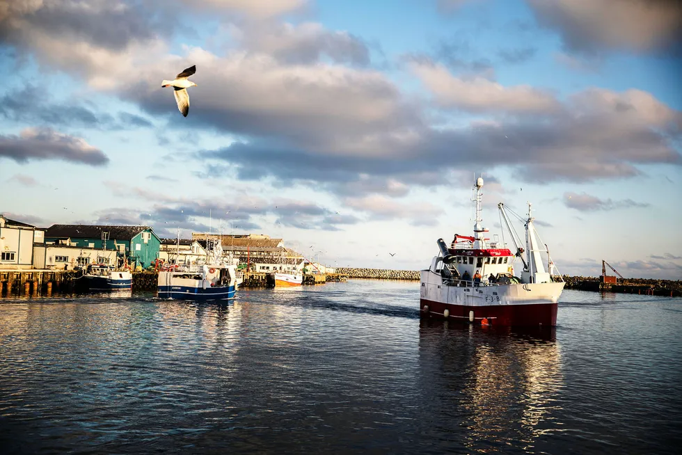 Folk flest i Nord-Norge frykter andre enn dem selv vil få mer nytte av landsdelens fiskeressurser fremover. Bildet er fra Berlevåg. Foto: Per Thrana