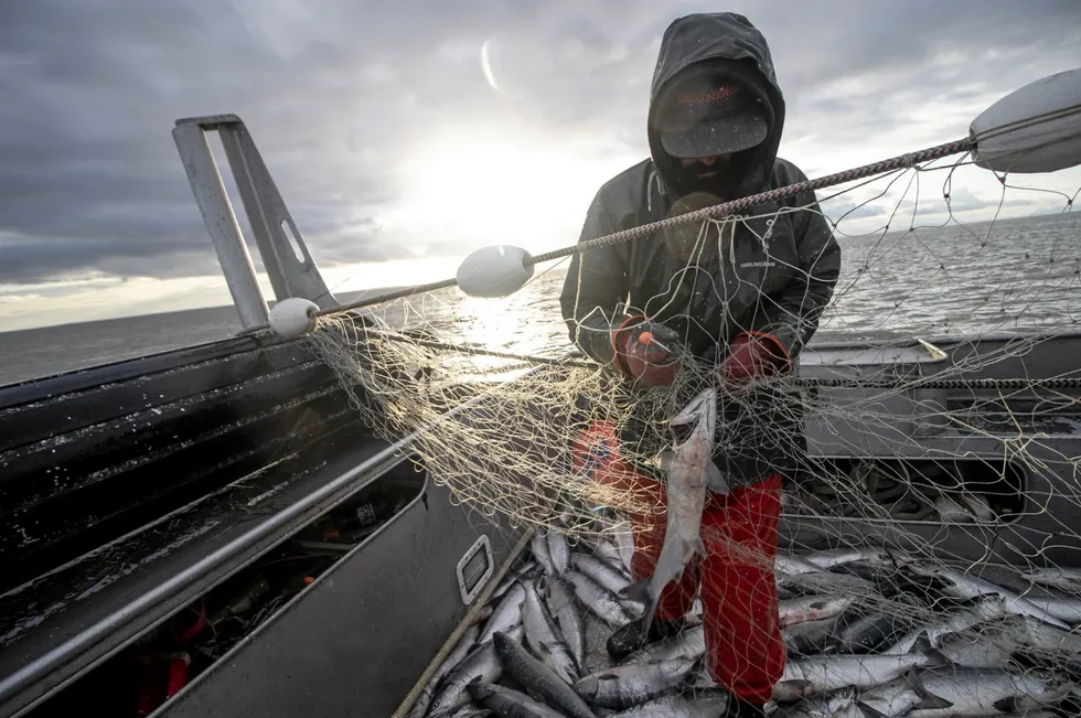 Bristol Bay fishermen expressed outrage in 2023 over low fish prices. A new industry task force could address that crisis and other issues affecting all fisheries in the state.