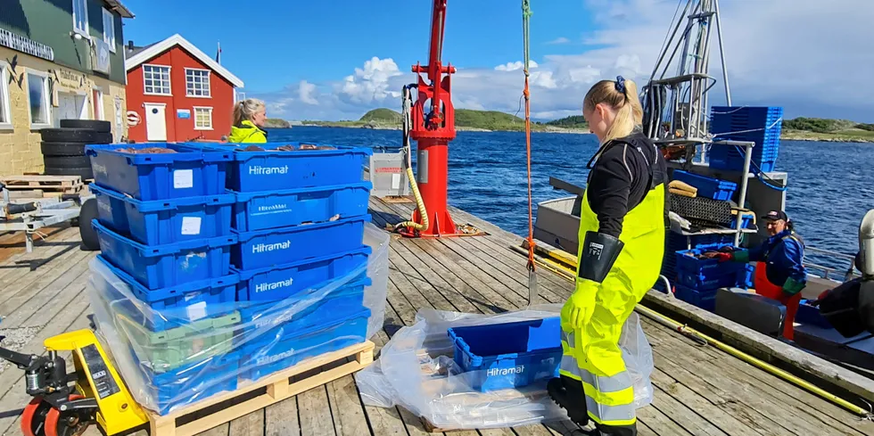 Distriktskvotene bør brukes til å styrke kvotegrunnlaget til fiskeflåten og fiskeindustrien, mener Torbjørn Trondsen og Arnold Jensen i Kystens Tankesmie.