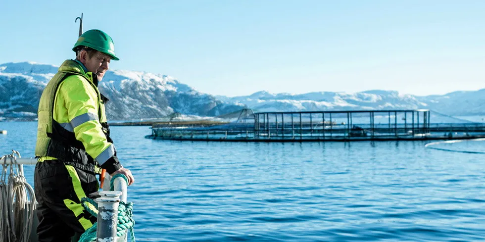 Mowi skal nå legge en plan for å begrense tapene sine i forbindelse med beslutningen kanadiske myndigheter har tatt om å begrense oppdrettsaktiviteten.