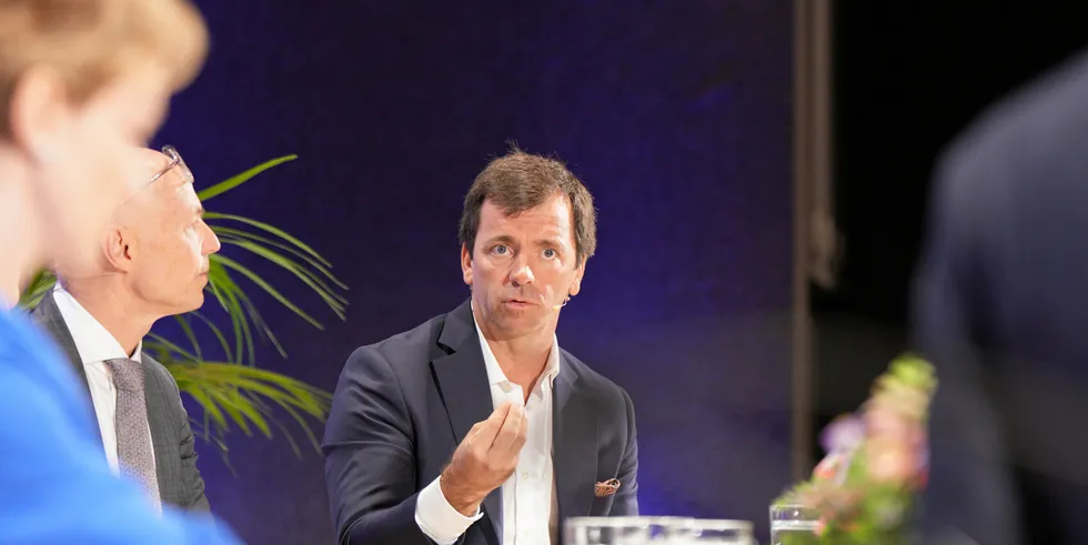 EDPR's Bello sees role for hybrid wind and solar in facing up to next ...