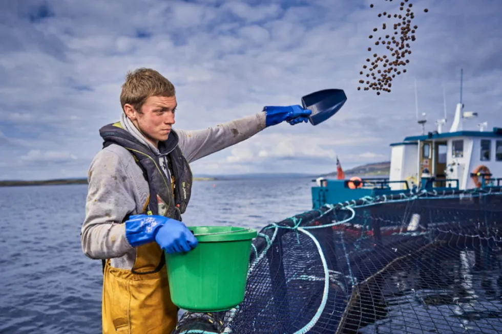 Farm-raised Scottish salmon is the UK’s biggest food export with international sales valued at £280 million (€330 million/$340 million) for the first half of 2022.