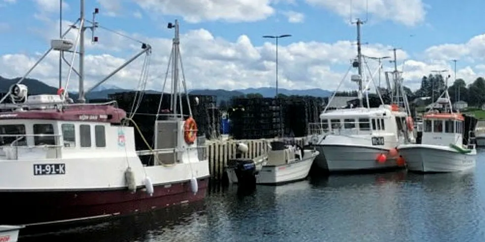 LEPPEFISK: 13 leppefiskkvoter samlet på Halsnøy. Fiskerihavna er et samlingspunkt for flåten.